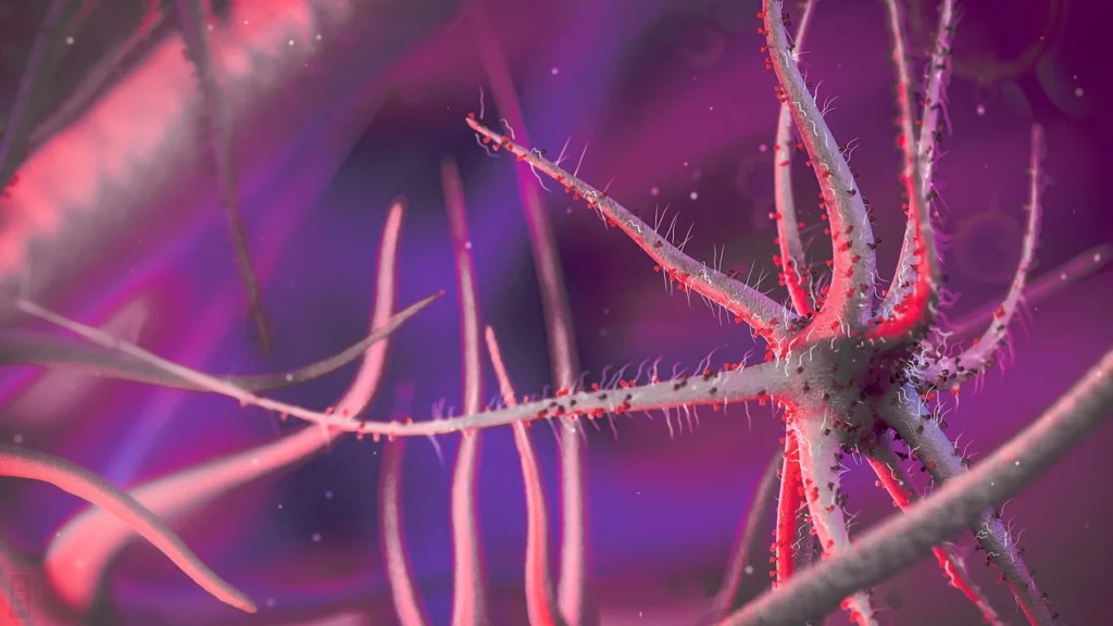 Virus