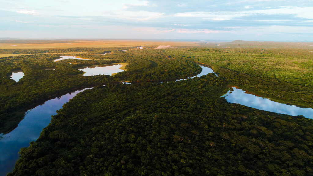 Amazonia