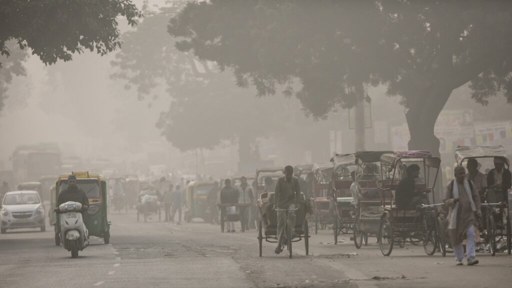 delhi1