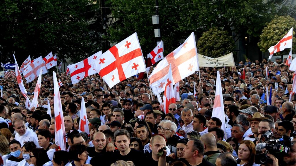 protestigruzia4