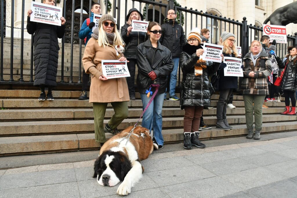 proteststopnanasilietonadjivotni