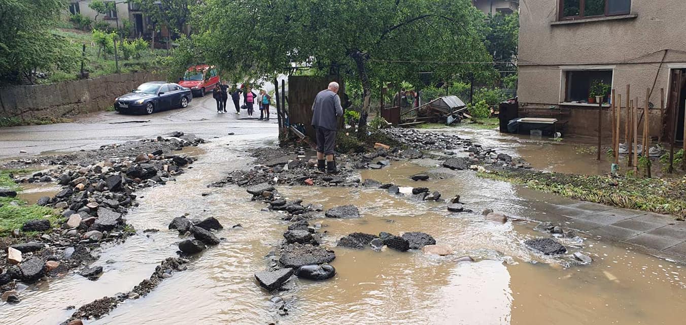 Берковица