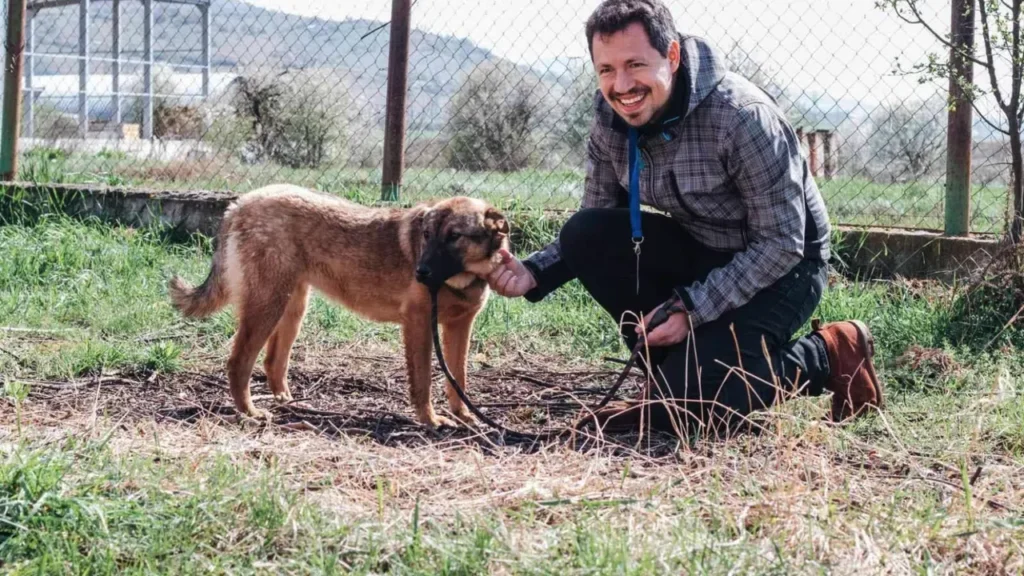 doychin nenovski