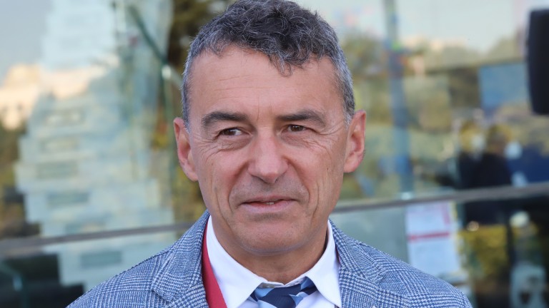 ivo petrov