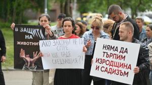 300-169-protest-zhivotni-zashtitnici-sofiia