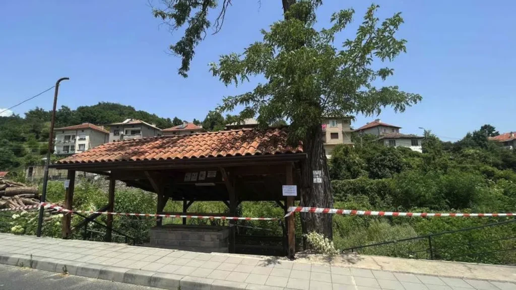 zlatograd