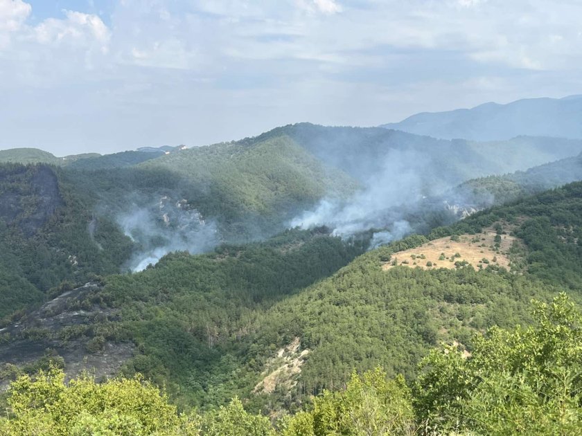 pojar