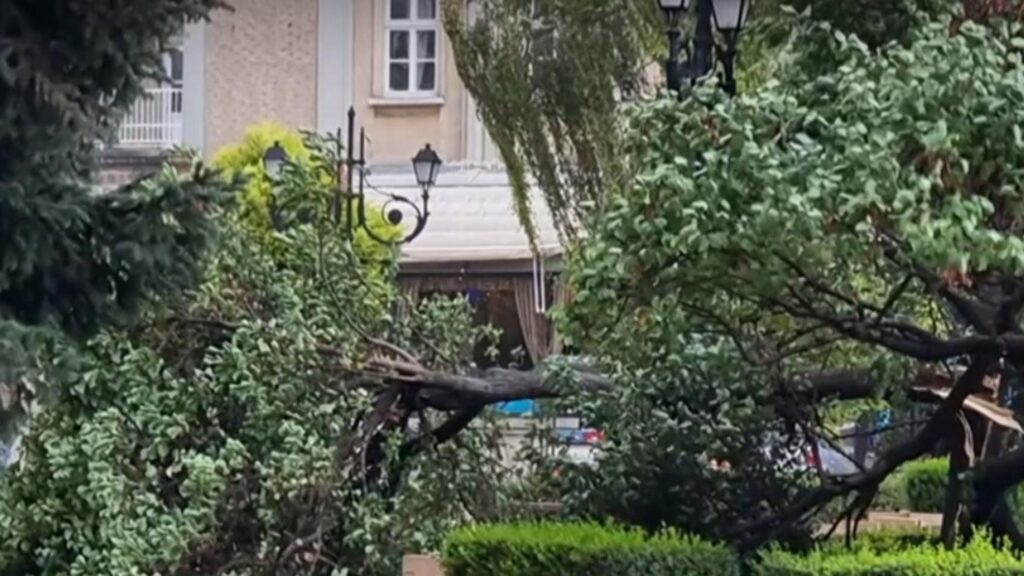 dyrvoubilochovekvplovdiv