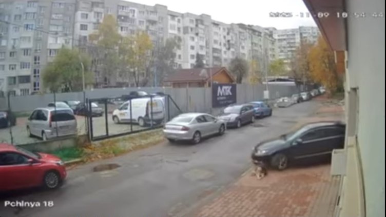 57ccb60ed1a8f12113d227890bbc39cb-razsadnika
