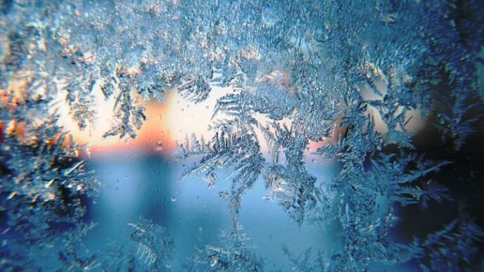 forest_winter_cold_studeno_vreme