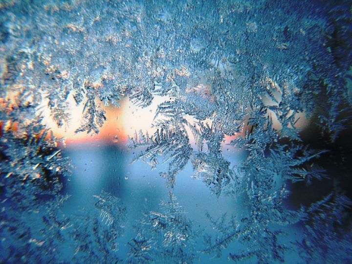 forest_winter_cold_studeno_vreme