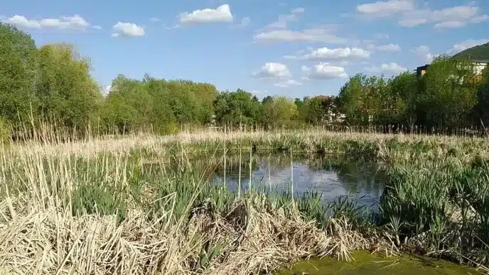 boansko-blato.l