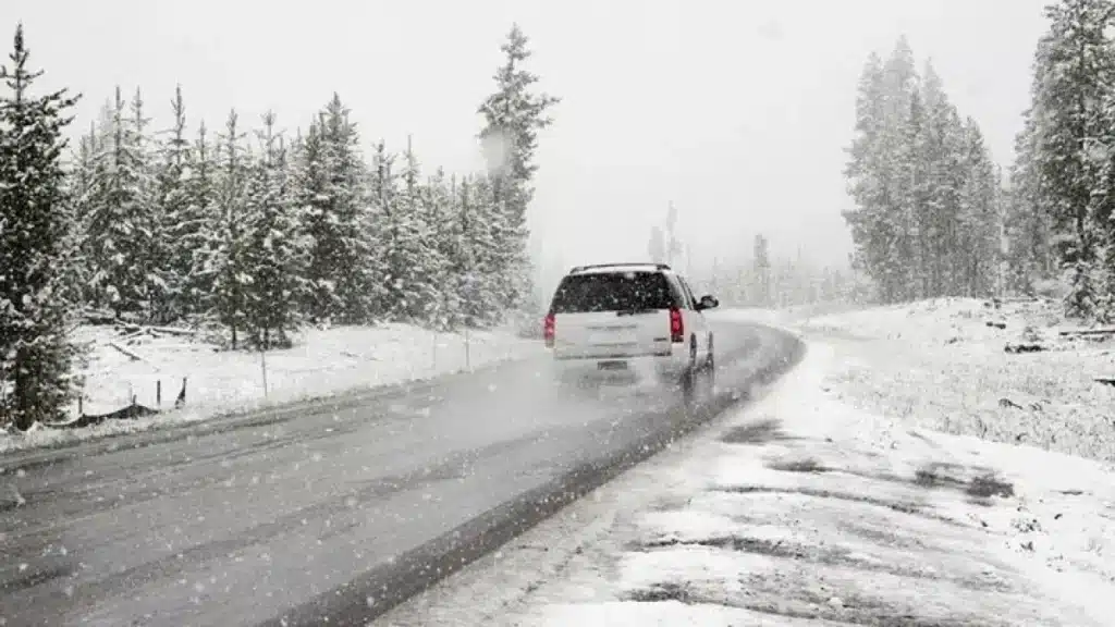 1200_IMAGE_16234500_40_0