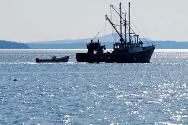 Riboloven-korab-s-trima-na-borda-izchezna-kray-Sozopol_1771424543