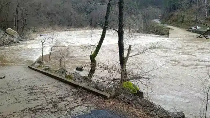 ardino.jpg