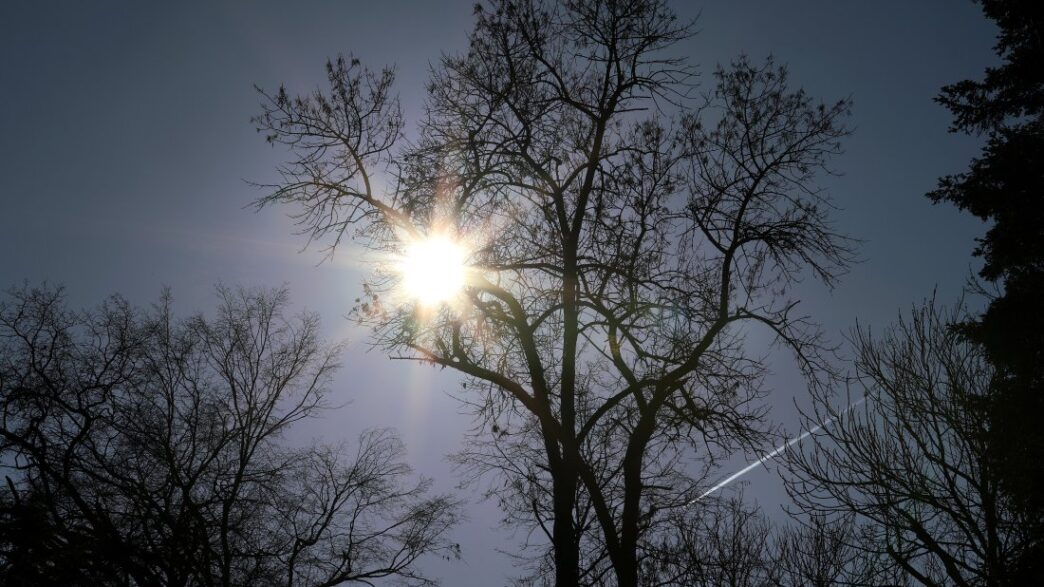 177542789296844