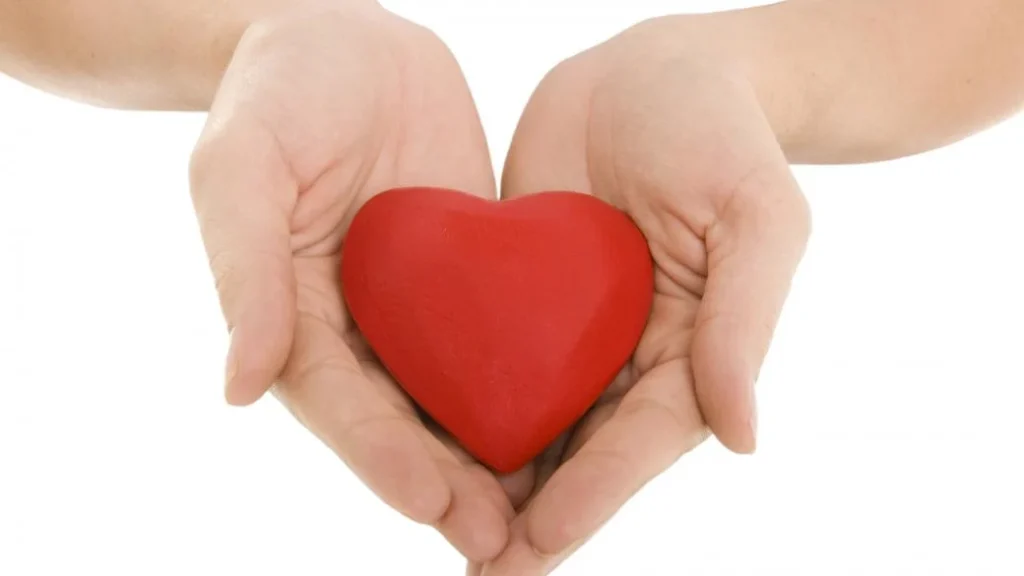 thumb_1040x585_heartinhands