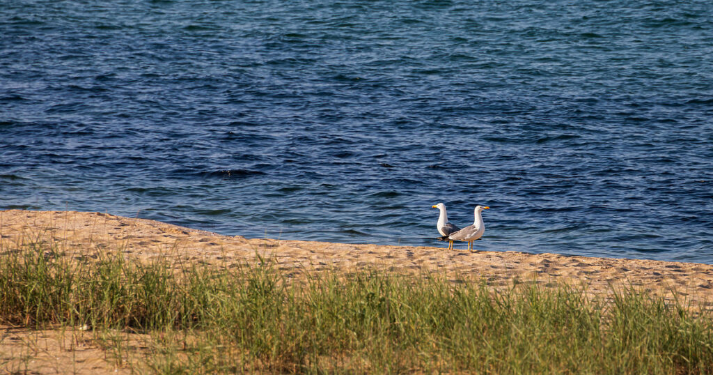 img_3347-9.og