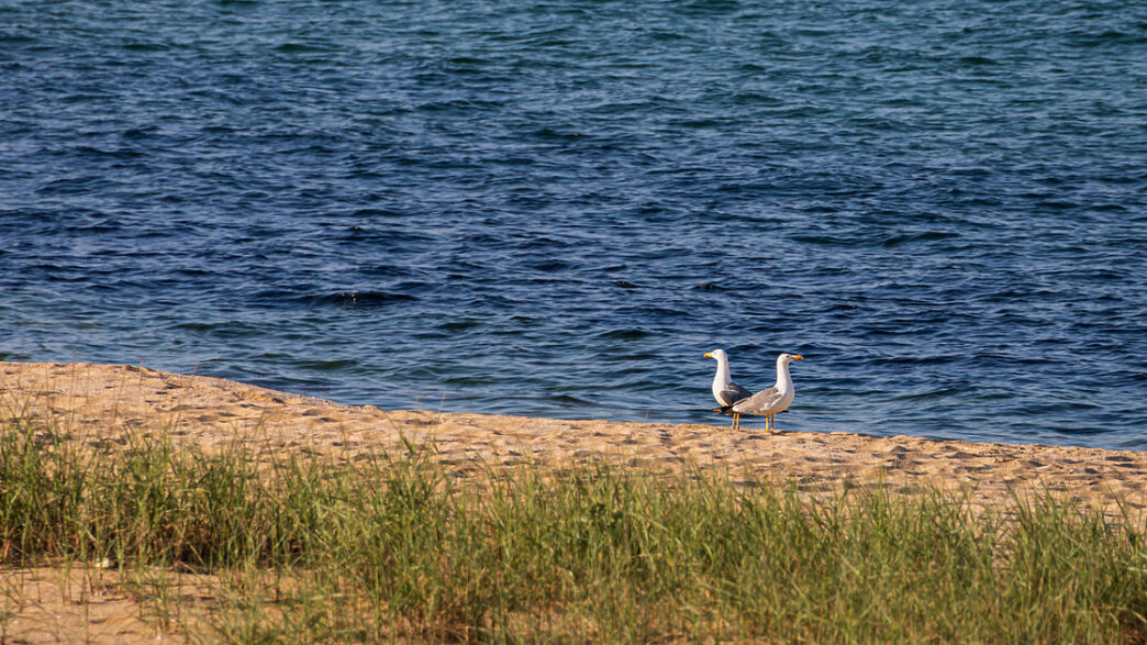 img_3347-9.og
